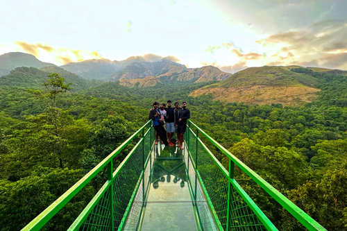 Wayanad Tour: Discover the Magic of 900 Kandi Glass Bridge in Lush Greenery